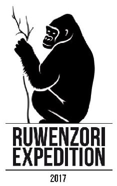 Grafik leider nicht gefunden